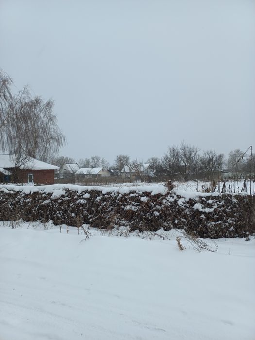 Продається земельна ділянка, 0.12га, в с.Количівка