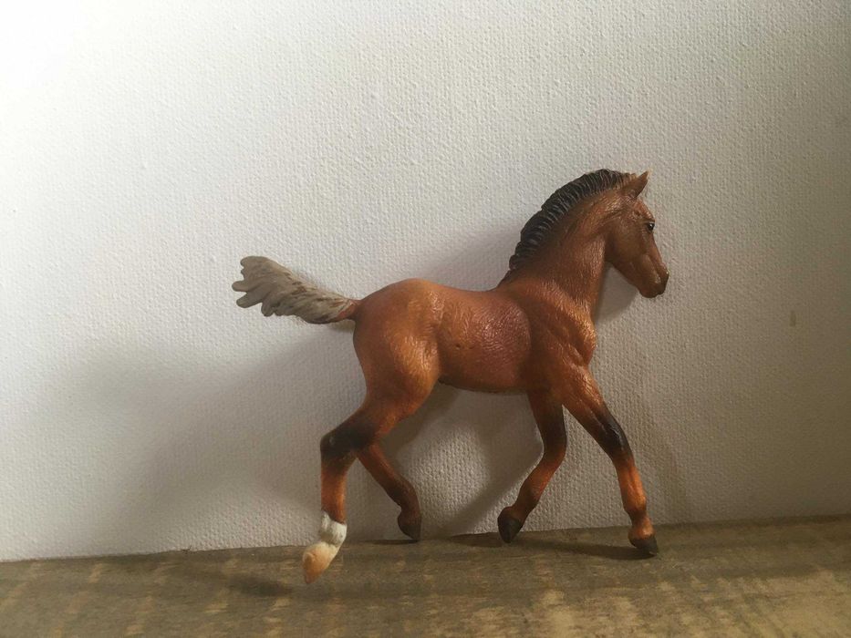 collecta kucyk źrebię rasy koń hanowerski