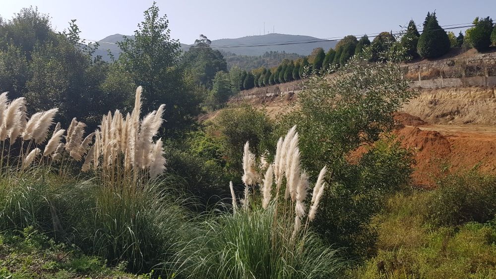 Terreno para construção