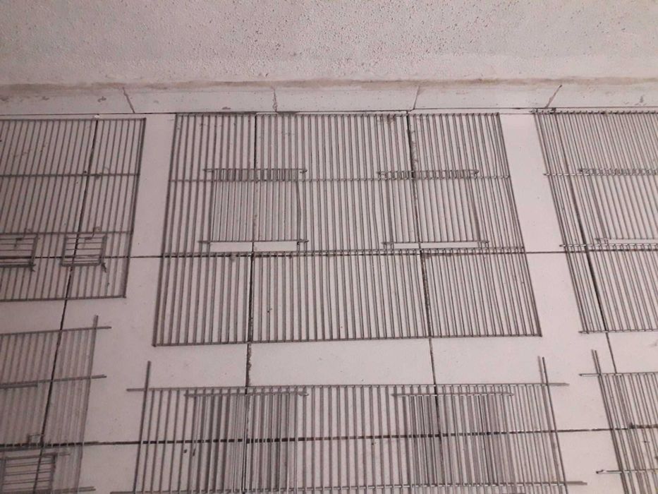 Frentes gaiolas agapornis novas