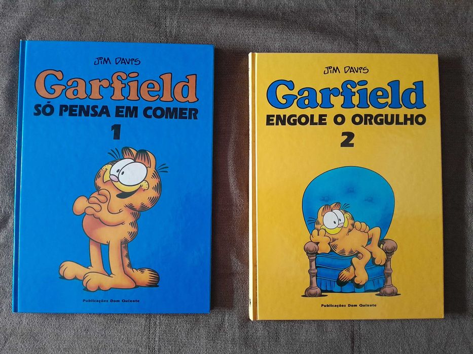 Garfield (Dom Quixote)