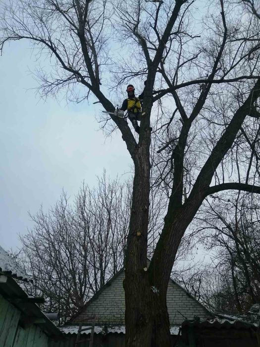 Зрізання аварійних дерев.Порізка на дров.а.Подрібнення гілля.