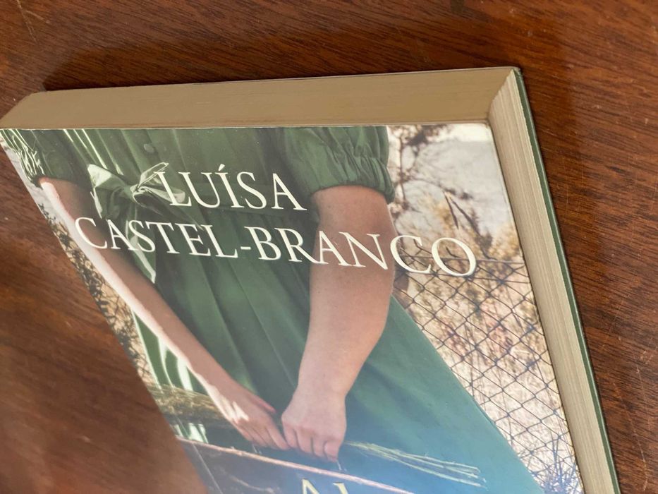 Alma e os Mistérios da Vida - Luísa Castel-Branco