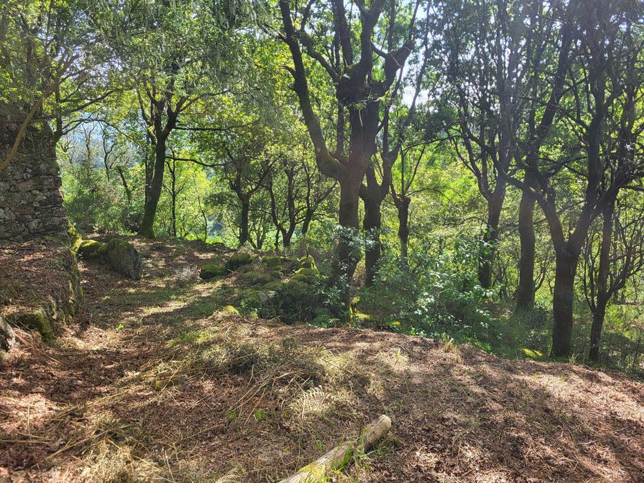 Terreno no Gerês com Ruína e Mina 3 Artigos 8.100m²