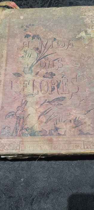 Livro Raro (1884) - A Vida das Flores (Les Fleurs Animées) - Volume II