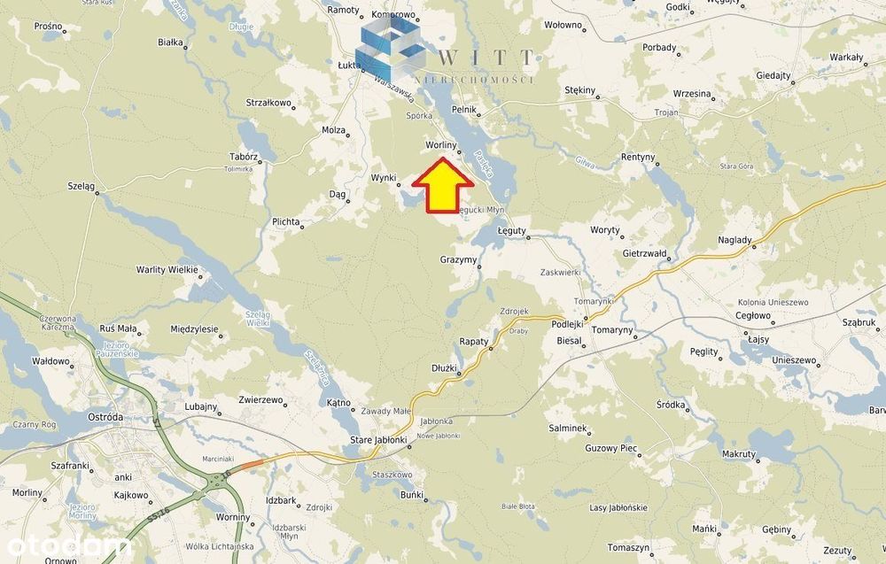 Widokowe działki pod lasem i blisko do plaży !