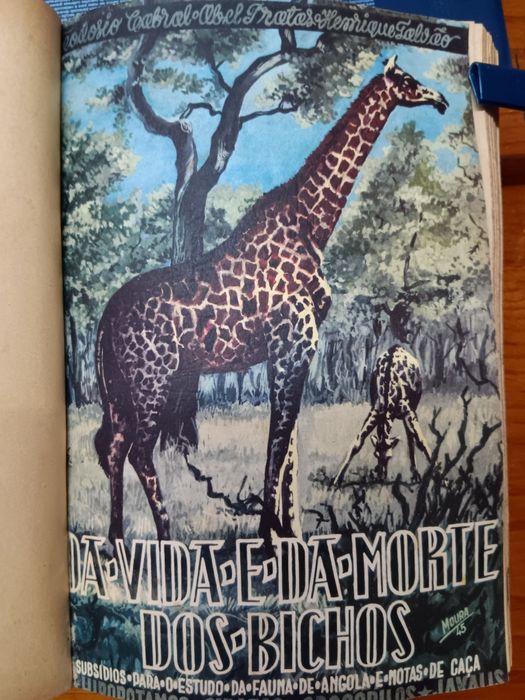 "A Vida e da Morte dos Bichos"