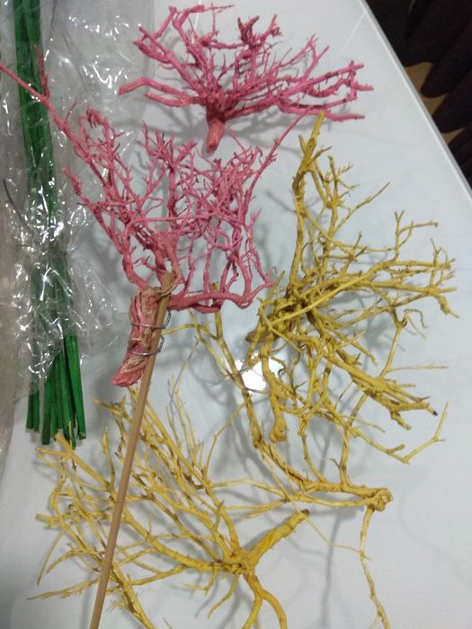 Material natural preservado