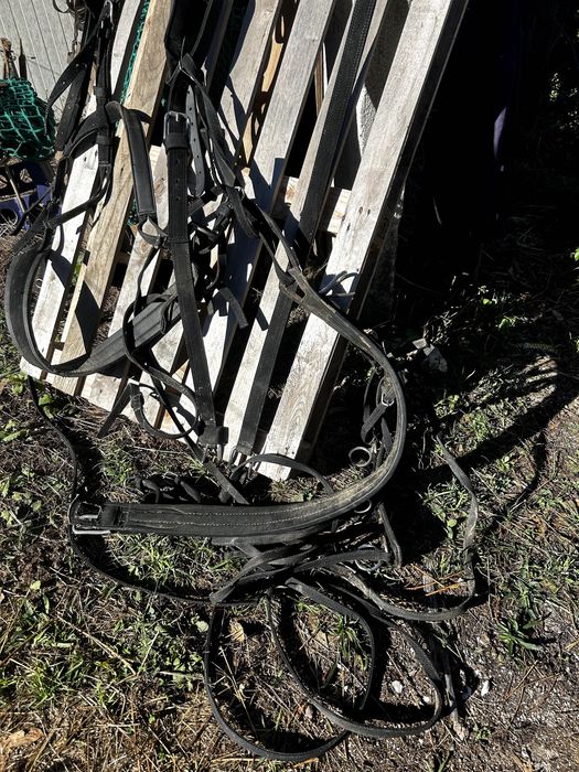 charete de 1 eixo para burro grande ou Mula / cavalo ate 155cm + Arreios sintheticos de Sieltec