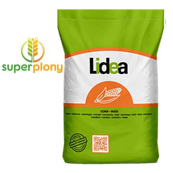 Kukurydza LIDEA ES Hattrick C1 50tys dostawa gratis lub odbiór os.