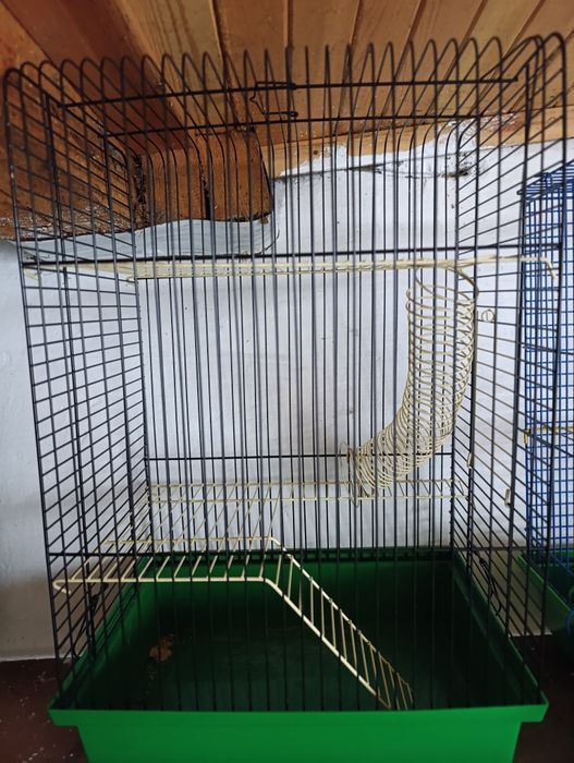 Клітки для гризунів