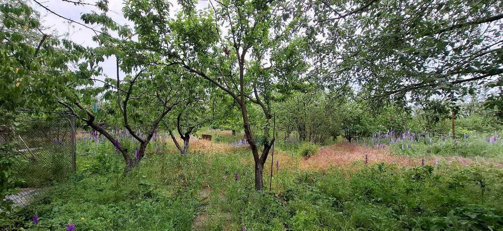 Продается дом район Черевковка. Продажа по Сертификату.