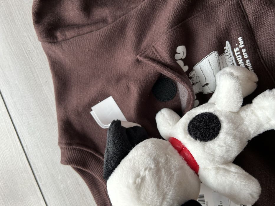 Brązowa ocieplana bluza dla chłopca Zara r.116 Snoopy z pluszakiem