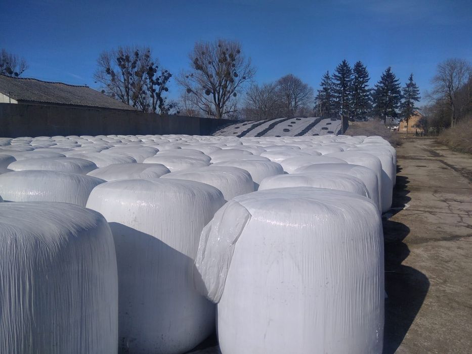 Wysłodki buraczane w belach. 300 szt.+