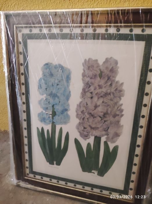 Quadros com molduras