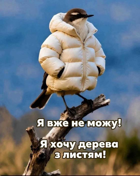 Теплий чохол на гіпс