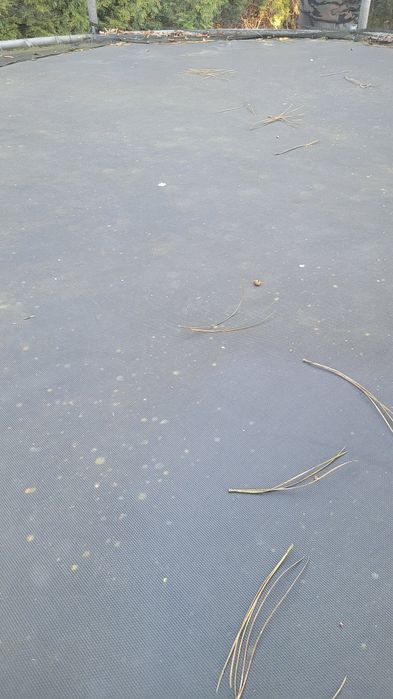 Trampolina sprawna