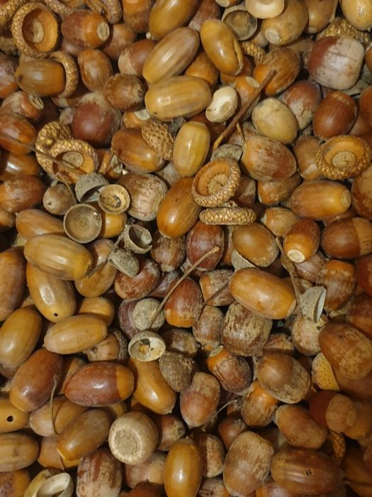 Материал для поделок