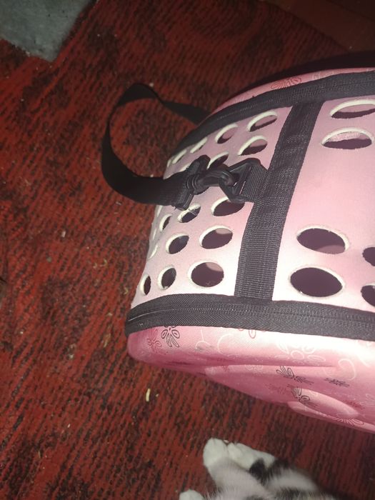 350 грн переноска для котів