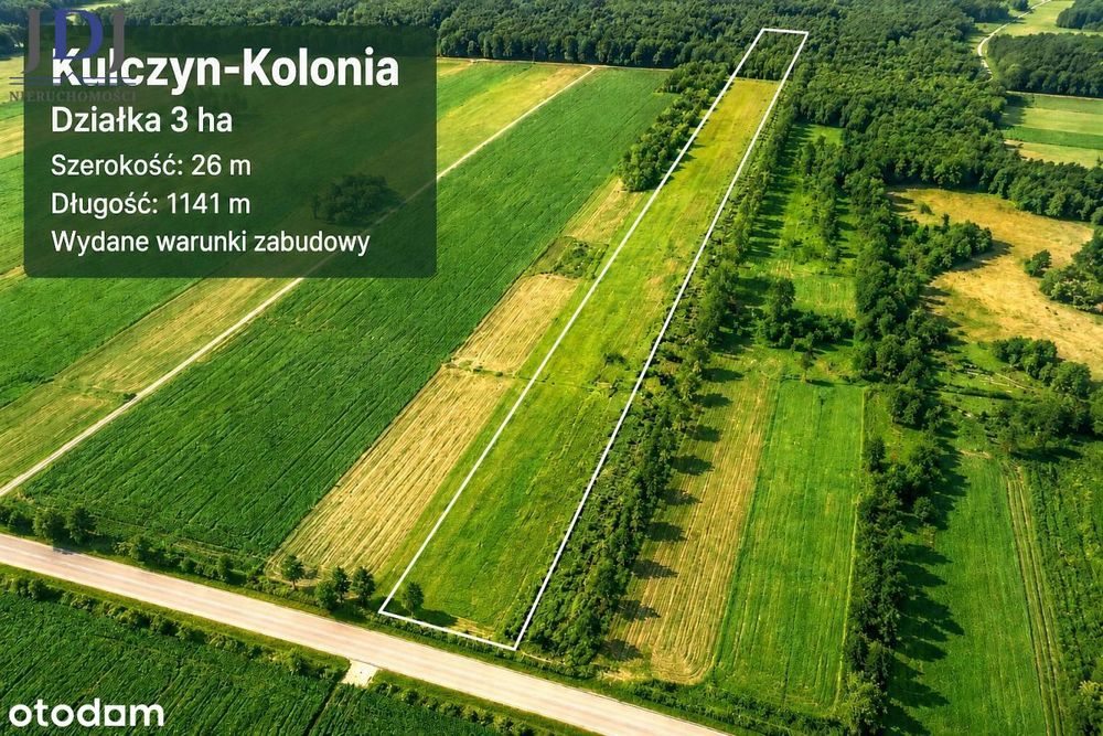 Działka 3 ha z WZ, Kulczyn Kolonia. Hańsk