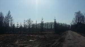 Sprzedam działkę 1200 m2 w Wilanowie, Zawady, WZ, ul. Rosy