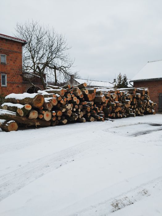 Sprzedam drzewo twarde grab