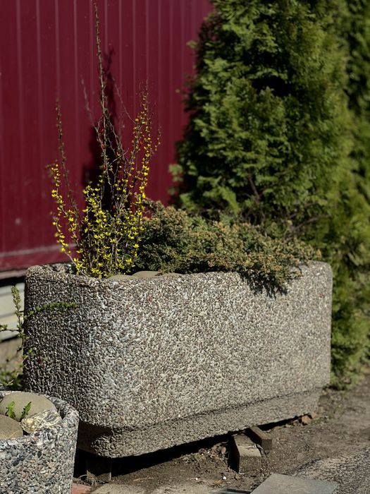 Вазони з митого бетону.