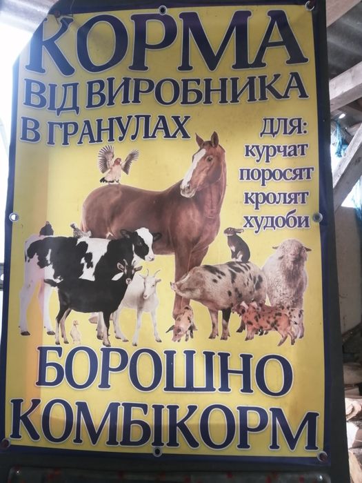 Корм в гранулах .