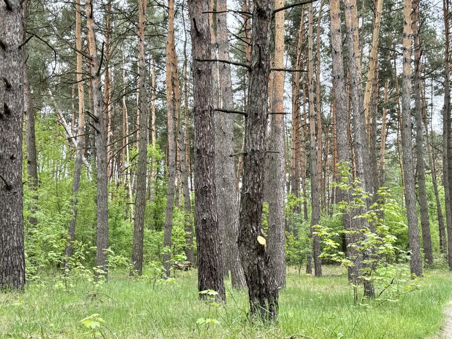 Земельні ділянки під садівництво! Вороньків!