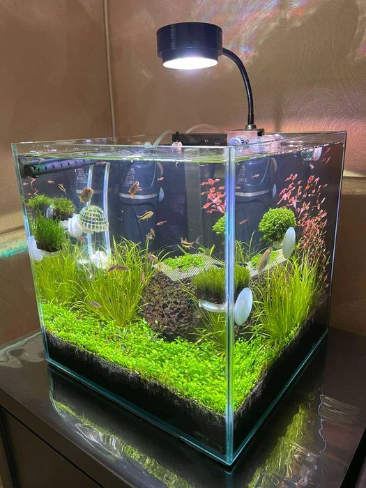 Аквариумный светильник