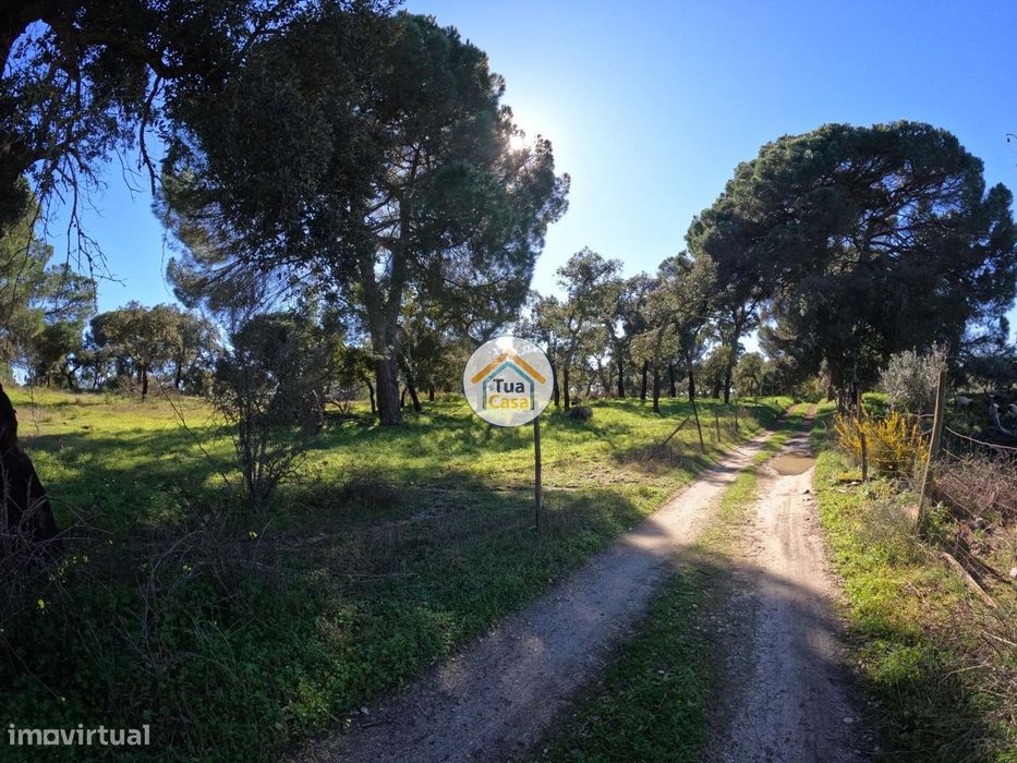 Terreno Rústico de 1,75 ha com Montado de Sobreiros – Oportunidade no