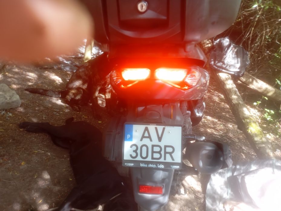 NMAX Yamaha nova