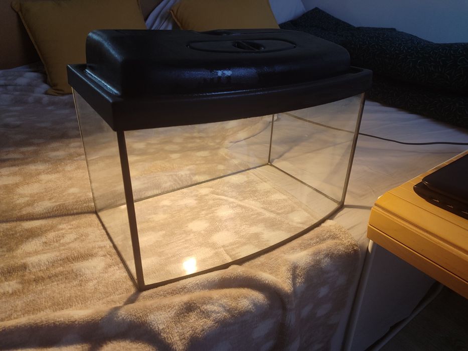 Akwarium 25l z + pokrywa z oświetleniem