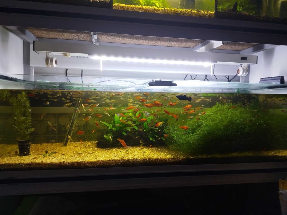 Iluminação de aquário armadura Led 60-75cm