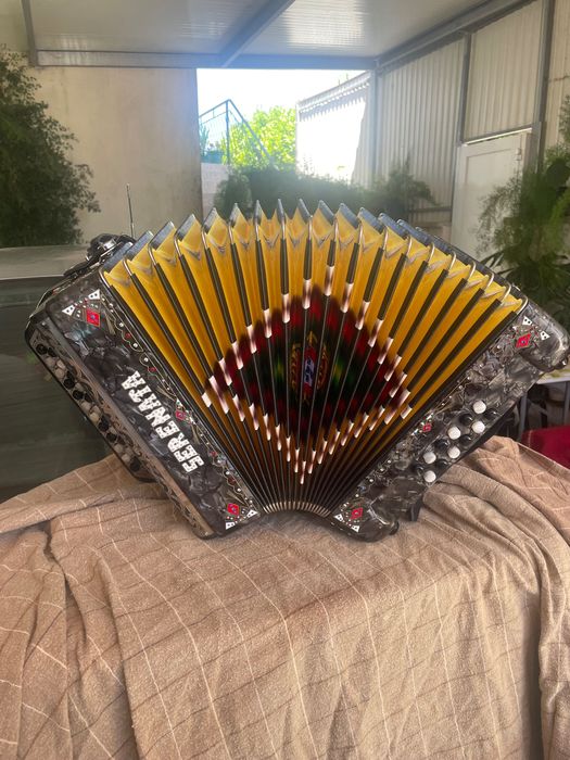 Vendo Concertina da Mesma Fábrica da Organola (Serenata)