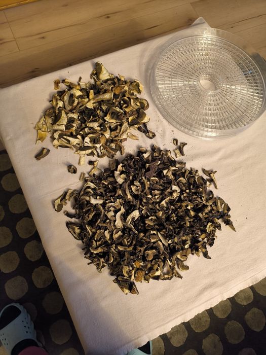 Grzyby suszone. Borowiki, podgrzybki