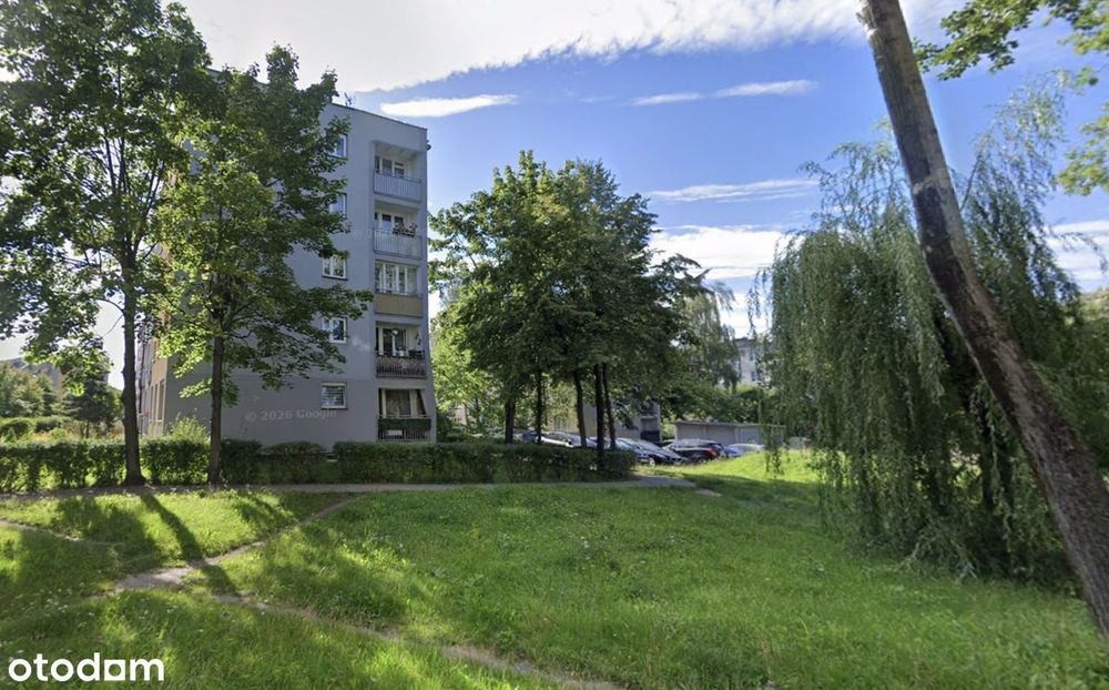 | Duże mieszkanie | Od Właściciela | 0% | Wyzwolenia | Opcja 3 pokoi |