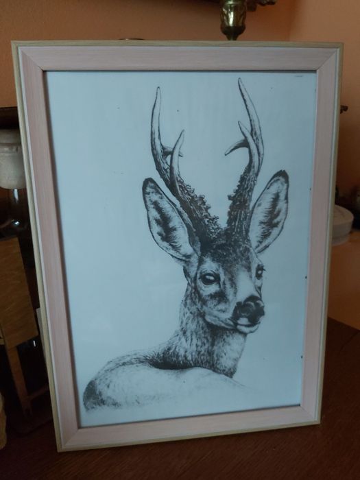 Kozioł sarna rogacz. Grafika łowiecka myśliwska polowanie. A4
