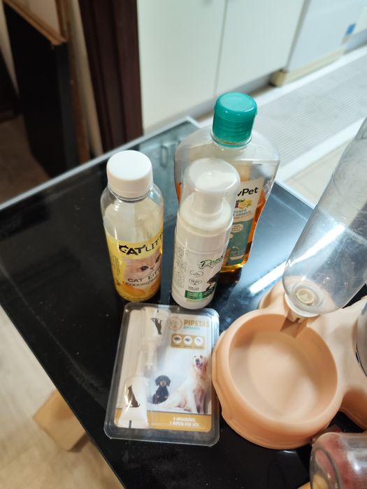 Comedouros gatos e acessorios