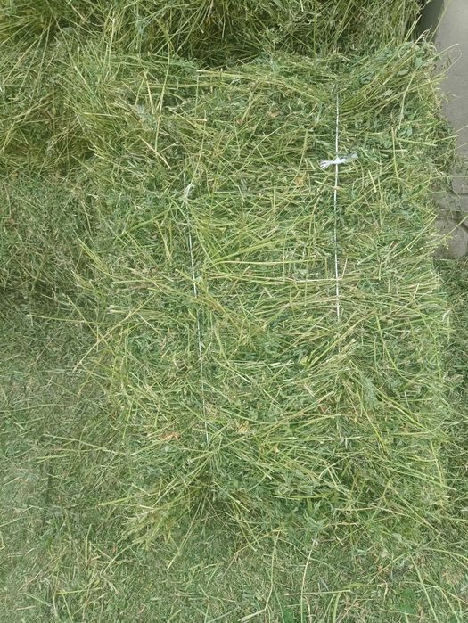 Продам тюки люцерни та соломи