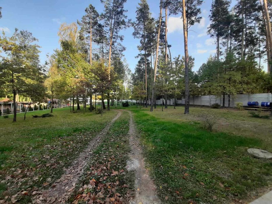 с.Бондарня. Дом 230 кв. Расположен 70 км. от Киева. Генератор.