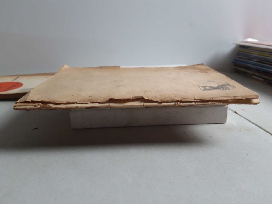 Livro - Fernão Bôtto-Machado - A Queda do Monstro REF - esc