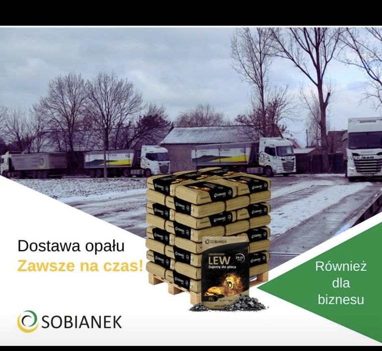 Ekogroszek Lew bezkonkurencyjno najlepszy