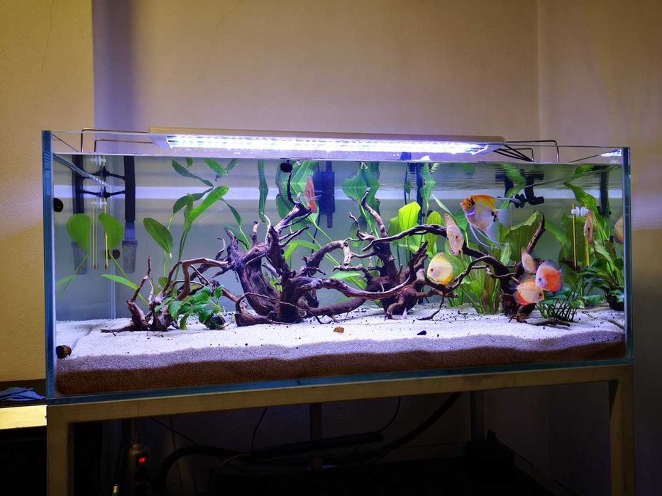 Aquário, estrutura 300 litros filtro