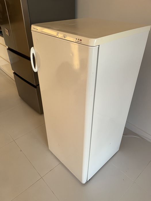 Zamrażarka electrolux duza