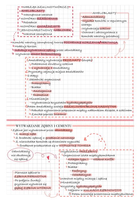 Notatki z histologii - kierunek lekarski