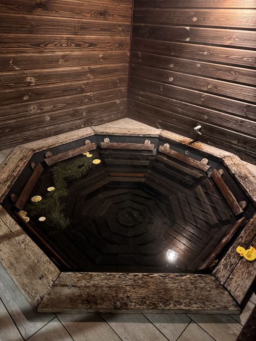 Здається котедж подобово