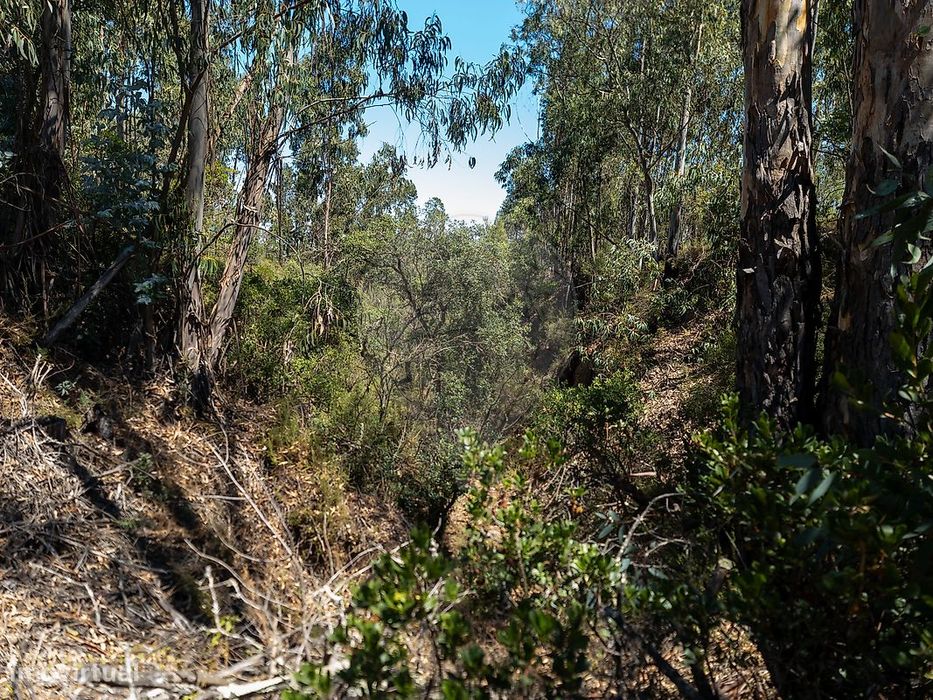 Terreno  para venda