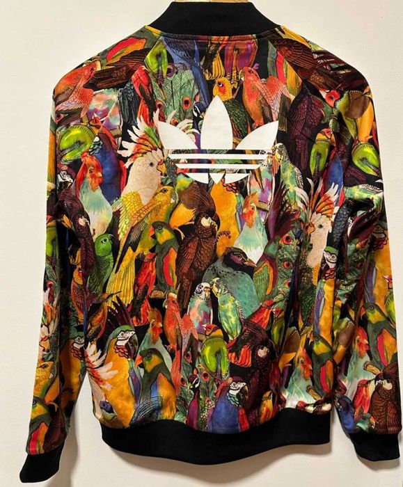 REZERWACJA Adidas PASSAREDO SWEAT bluza spodnie papugi tropikalne