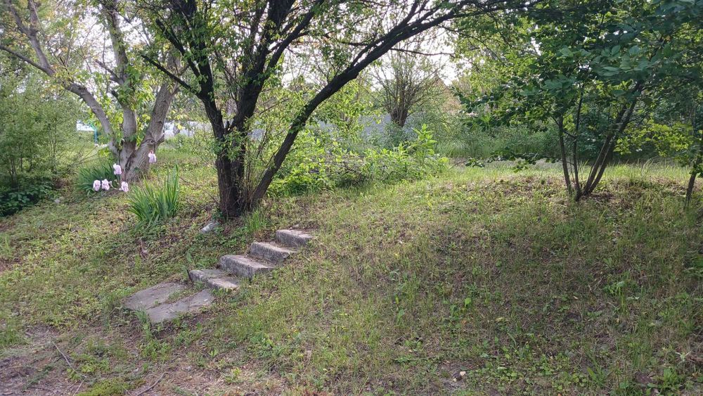 Продам Дачу в с.Червоний Садок